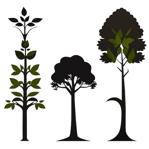 Tree Vector 的图像结果