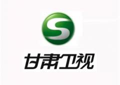 甘肃卫视-logo演绎+频道ID on Behance