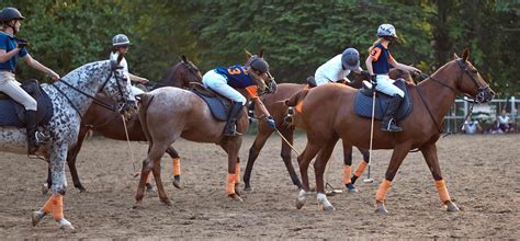 Polo Events