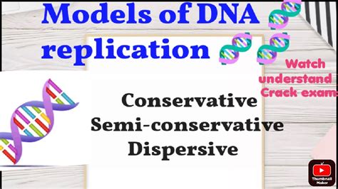 Models for DNA Replication 的图像结果