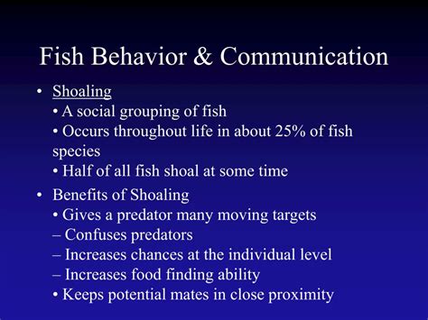 Fish Swim Behavior 的图像结果