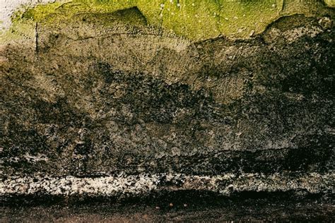 Swamp Ground Texture 的图像结果