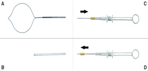 Image result for What Is Poly Loop Device