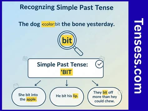 "Bit" - The Past Tense of Bite 2025: Definition, Usage, and 30 Examples