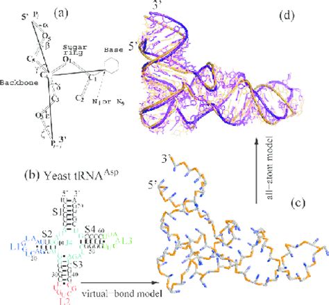RNA Model 的图像结果