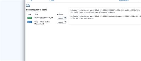 Debug Electron App 的图像结果