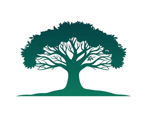 Tree Vector 的图像结果