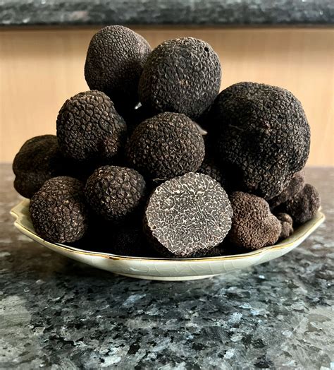 Fresh Black Perigord Truffle — Black Cat Truffles