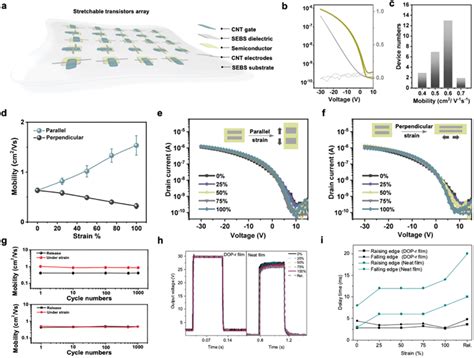 Image result for Flexible Transistor Array