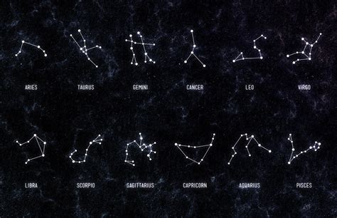 Free Zodiac Constellation Vectors | Constellations, Zodiac ...