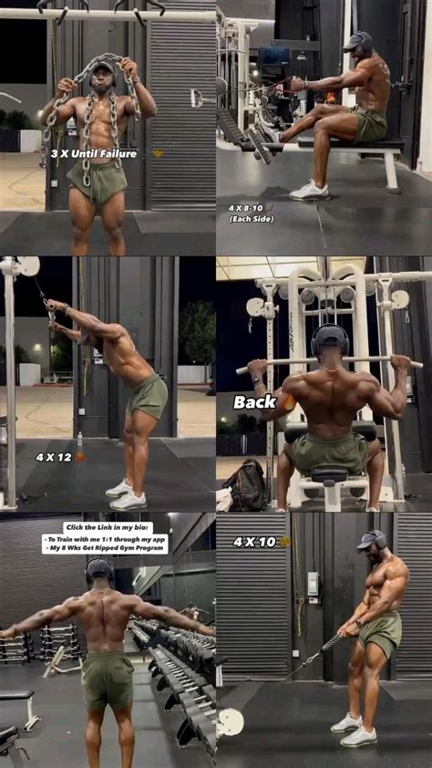 Image result for Workout Back Routine