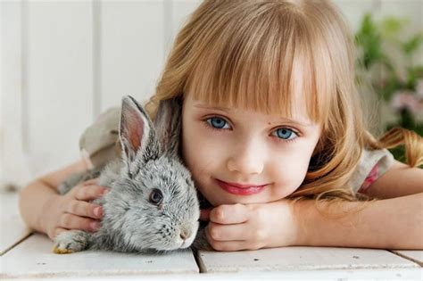 抱兔子的小女孩_素材中国sccnn.com