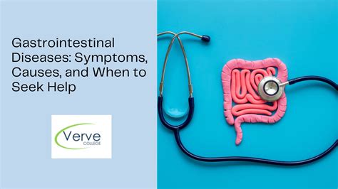 What are the Purpose of Vital Signs in Nursing & Healthcare