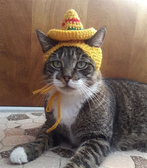 Sombrero Cat Hat, knit hat for cat by StitchedAdventures on Etsy https ...