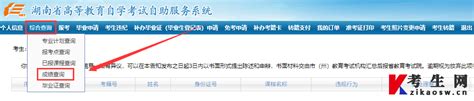 湖南2021年高考成绩查询入口（6月25日湖南高考查分） - 高考百科 - 中文搜索引擎指南网