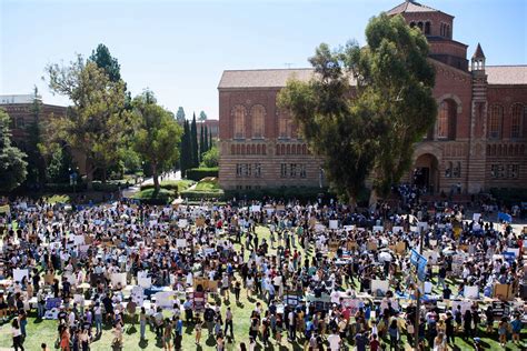 Ethnic and cultural clubs at UCLA – BruinLife