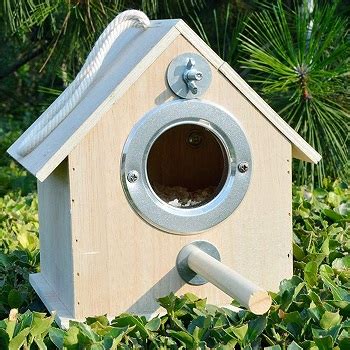 Image result for Parakeet Breeding Box
