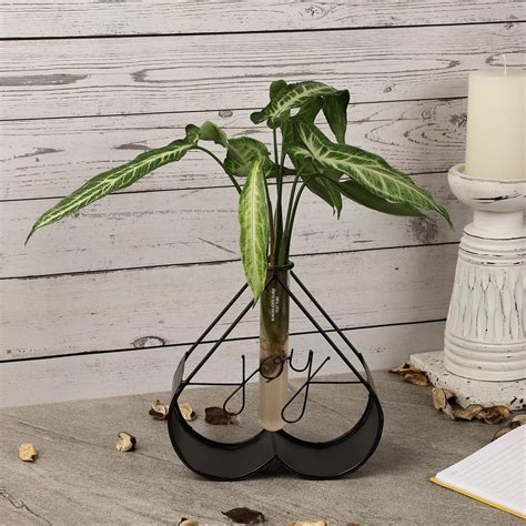 Joy Testube Planter- Black – The Decor Mart