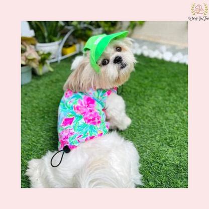 Dog Cap – Wrapinfur