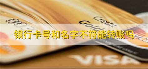 平安信用卡账户明细查询-功能演示