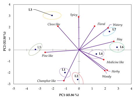 Image result for Interpret Pca Biplot