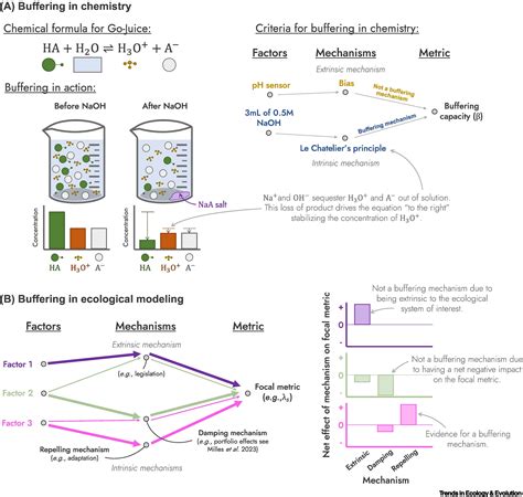 Image result for Examples of Buffering