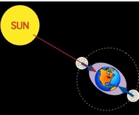 with the help of diagram show how the gravitational pull of the sun and ...