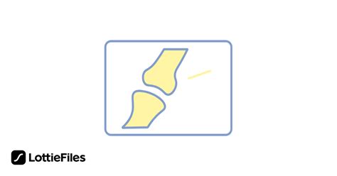 Bone Animation Programm 的图像结果