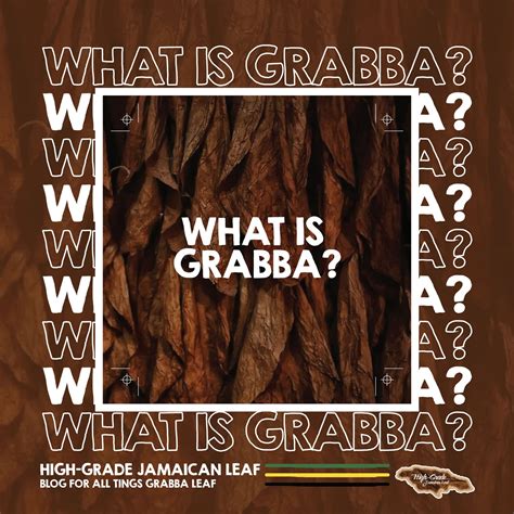What Is Grabba? | Blog For All Things Grabba Leaf