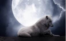 Vollmond Wolf Wallpaper by Wer Rudel Seite 192 Allmystery Vollmond Wolf Wallpaper