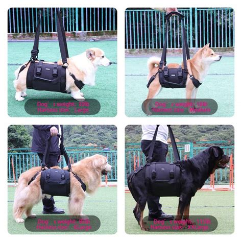 Senior Dog Chest & Back Support Harness, Outdoor Convenient Leg Support ...