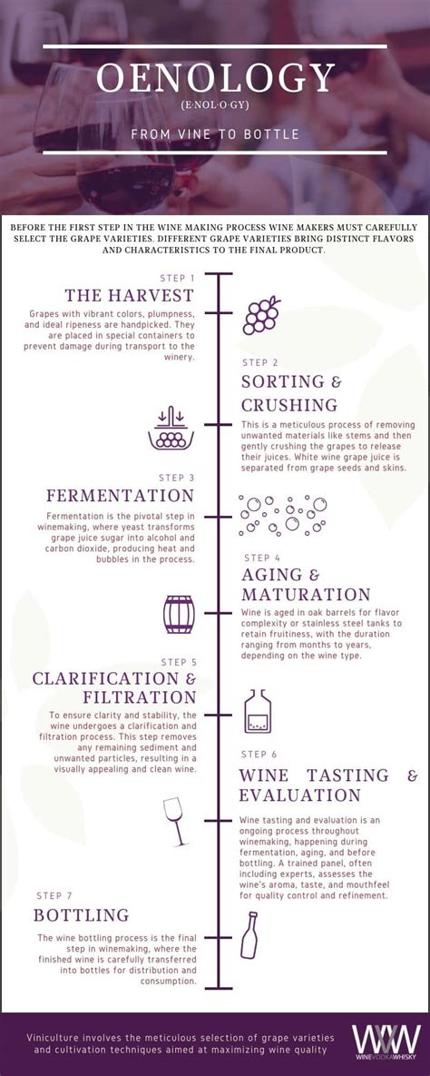 Wine Making Process 的图像结果