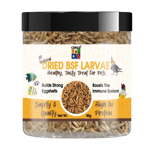 Bird Food – CONGO