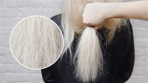 How to Repair Damaged Hair: Quick & Easy Tips