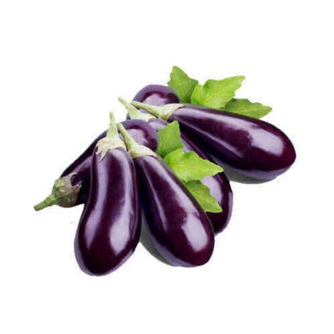 Guru Prakash Agro Briquettes