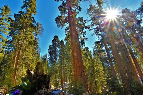 CA hikes: Essential safety tips for trails, packing list | San Luis ...