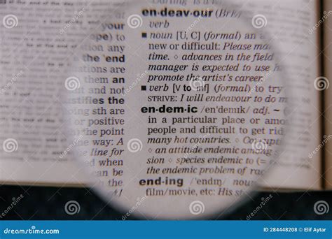The Definition of the Word Endemic in a Dictionary, Under Magnifying Glass, Translator and ...