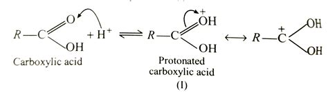 Explain the mechanism of esterification carboxylic acids. - mechanism of esterification of carboxylic acid