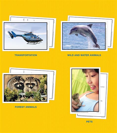Key Education Early Learning Language Library Photo Flash Cards ...