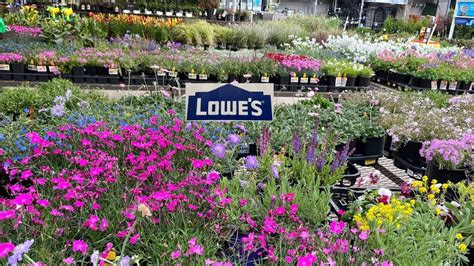 Image result for Lowe's Flower Garden