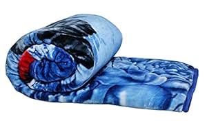 Buy SHALRA Super Soft Burburry Floral Design Blanket for Double Bed ...