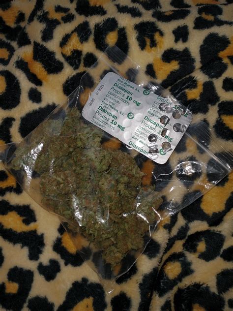 My mind won't shut up, let's quiet it down a bit. : r/drugsarebeautiful