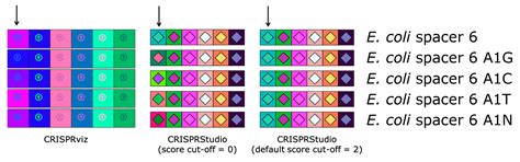 CRISPRStudio: A User-Friendly Software for Rapid CRISPR Array Visualization