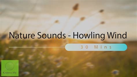 Howling Wind Sounds ASMR 的图像结果
