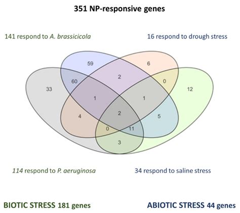 Nanoimpact in Plants: Lessons from the Transcriptome