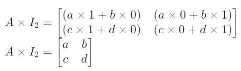 Identity Matrix 的图像结果