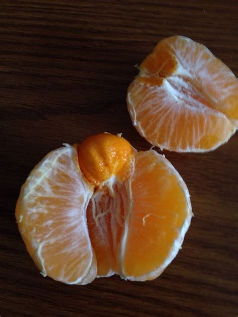 Image result for Tangerine Computer Systems