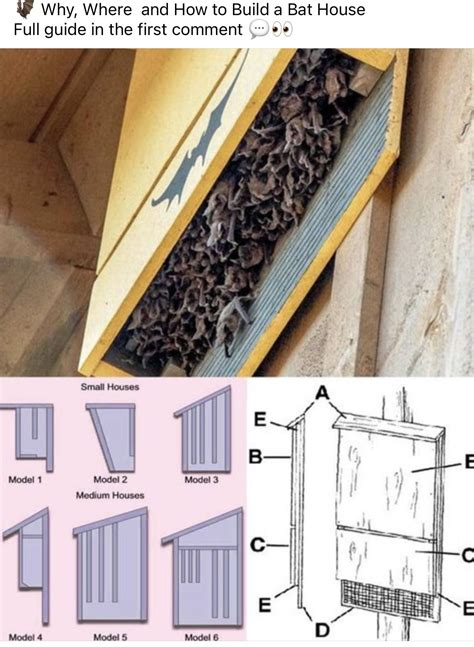 Best 13 18 Free DIY Bat House Designs You Can Build – Artofit