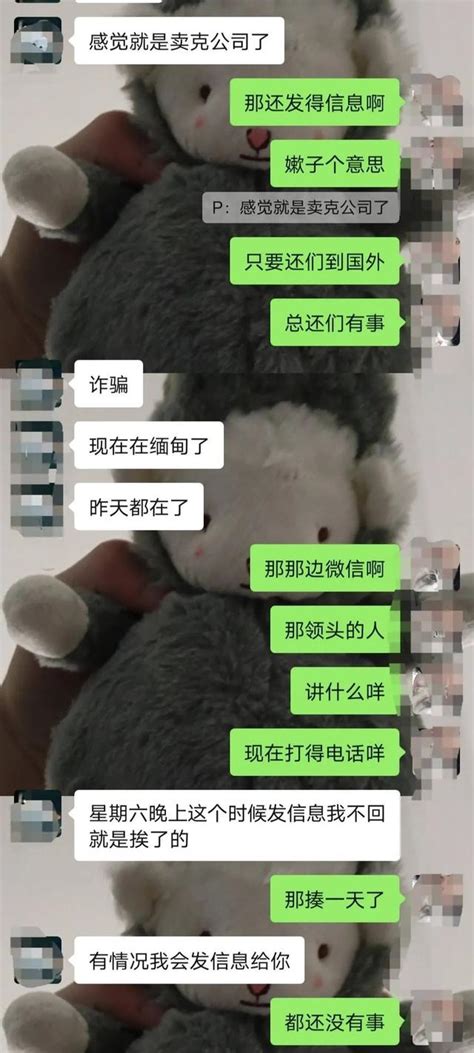 聊天记录让人揪心！3名被骗缅甸务工学生刚被找回，又有4人失联_手机新浪网