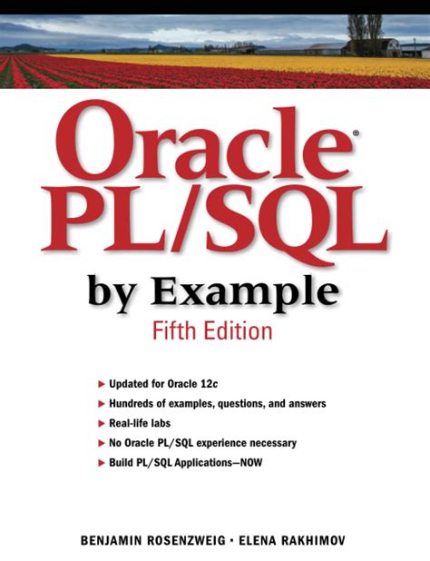 Oracle PL SQL Download 的图像结果